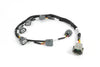 Haltech - R35 Coil Bracket Kit for Nissan RB Includes Bracket , Coils, Connectors and Harness