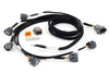 Haltech - Elite i6 R35 COP Ignition Harness Toyota 2JZ Terminated Engine Harness ECU Kits