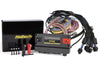 Haltech - NEXUS R5 + Universal Wire-in Harness Kit - 5M / 16' Length: 5m (16')
