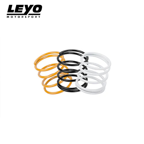 Leyo Motorsport - Diverter & BOV - Standard Spring Kit