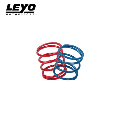 Leyo Motorsport - Diverter & BOV - Uprated Spring Kit