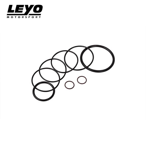 Leyo Motorsport - Diverter Valve & BOV O - Ring Service Kit