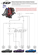 Platinum Racing Products - Nissan RB Twin Cam IGN-35A Coil Kit